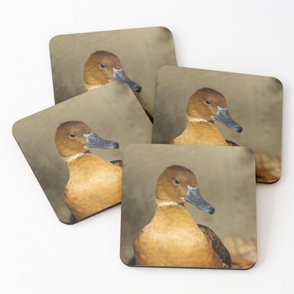 Item preview, Fulvous Whistling Duck designed and sold by TinyDinoDesigns.