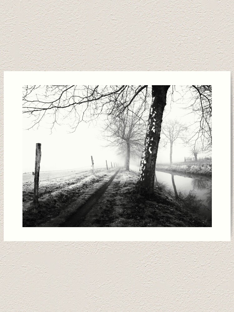 Alternate view of Misty trees Art Print