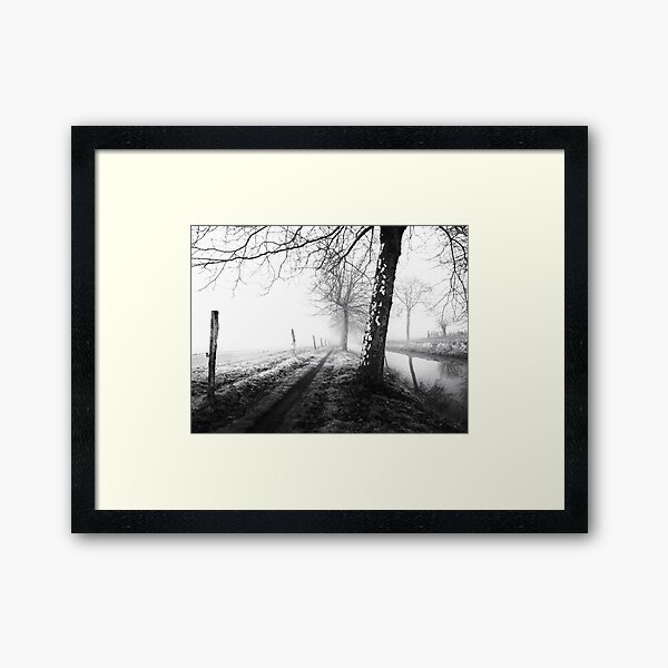 Misty trees Framed Art Print