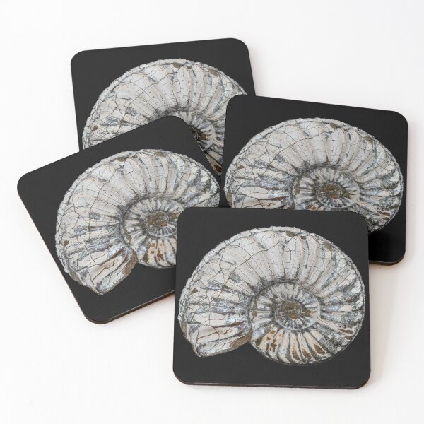 Item preview, fossil / shell designed and sold by marcrolandscape.