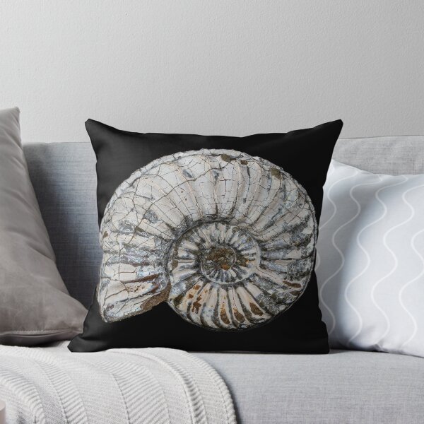Item preview, fossil / shell designed and sold by marcrolandscape.