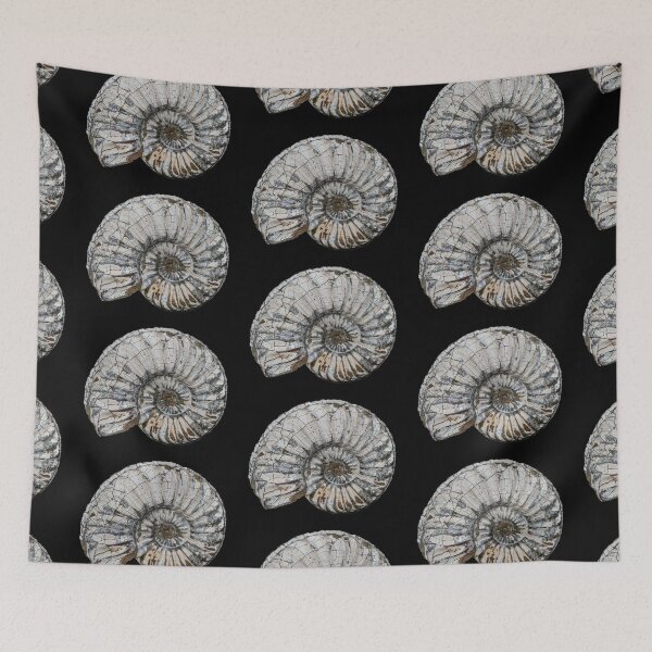 Item preview, fossil / shell designed and sold by marcrolandscape.