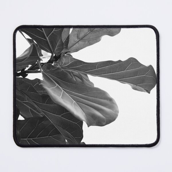 Item preview, Minimal Fiddle Leaf Fig #1 #wall #art designed and sold by Anita's & Bella's Art.