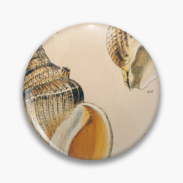 Item preview, Sepia Seashell Wall Art | Nautical Print | Bathroom Wall Art | Beach Decor designed and sold by archerfield.
