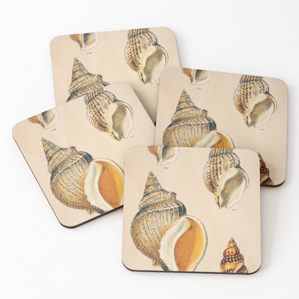 Item preview, Sepia Seashell Wall Art | Nautical Print | Bathroom Wall Art | Beach Decor designed and sold by archerfield.