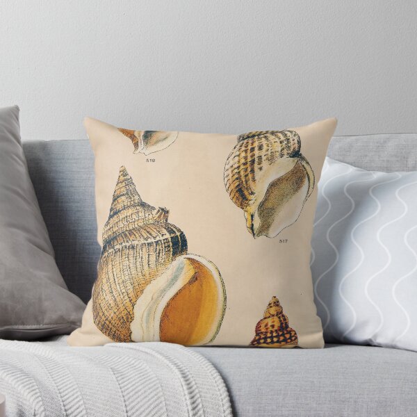 Item preview, Sepia Seashell Wall Art | Nautical Print | Bathroom Wall Art | Beach Decor designed and sold by archerfield.