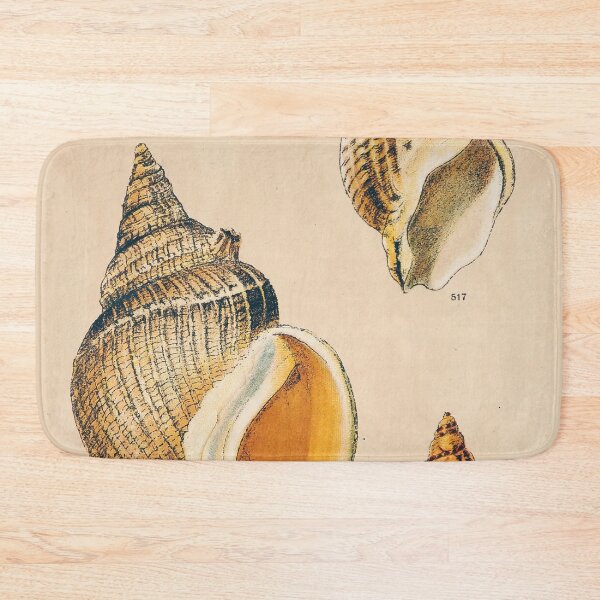 Item preview, Sepia Seashell Wall Art | Nautical Print | Bathroom Wall Art | Beach Decor designed and sold by archerfield.