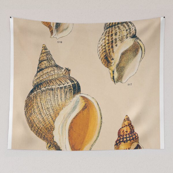 Item preview, Sepia Seashell Wall Art | Nautical Print | Bathroom Wall Art | Beach Decor designed and sold by archerfield.