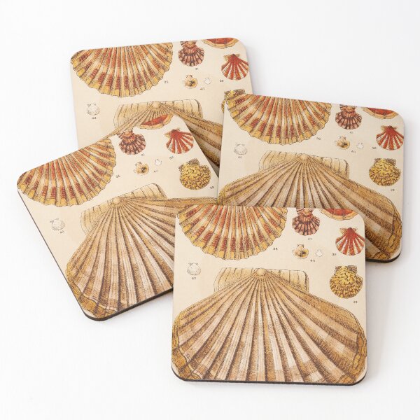 Item preview, Vintage Shell Print | Gallery Wall Art | Bathroom Wall Print | Beach House Decor | Coastal Print designed and sold by archerfield.