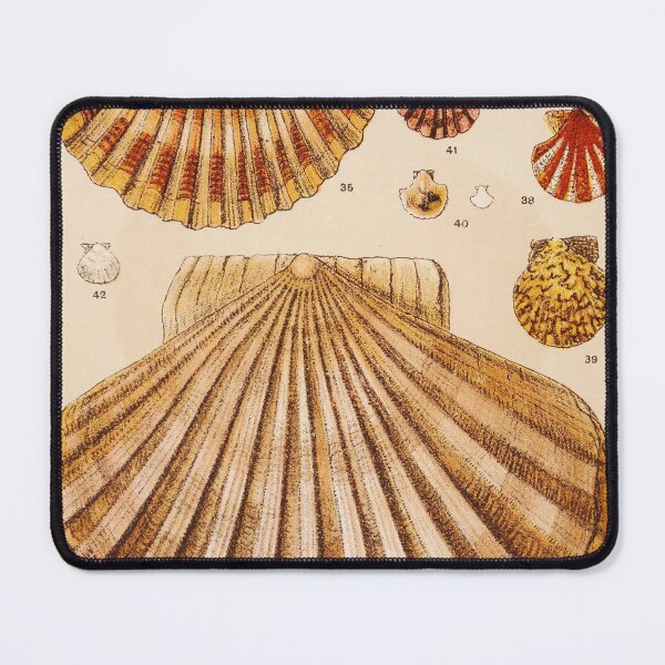 Item preview, Vintage Shell Print | Gallery Wall Art | Bathroom Wall Print | Beach House Decor | Coastal Print designed and sold by archerfield.