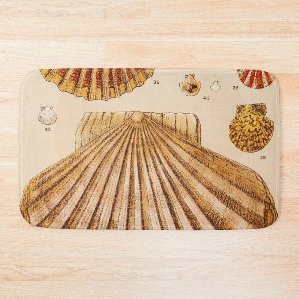 Item preview, Vintage Shell Print | Gallery Wall Art | Bathroom Wall Print | Beach House Decor | Coastal Print designed and sold by archerfield.