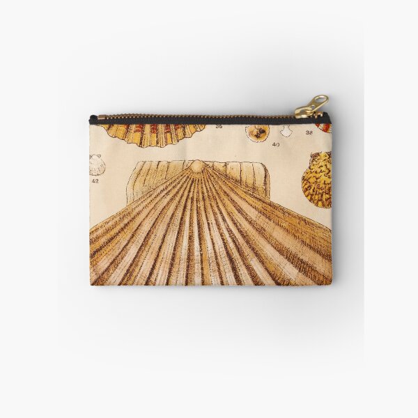 Item preview, Vintage Shell Print | Gallery Wall Art | Bathroom Wall Print | Beach House Decor | Coastal Print designed and sold by archerfield.