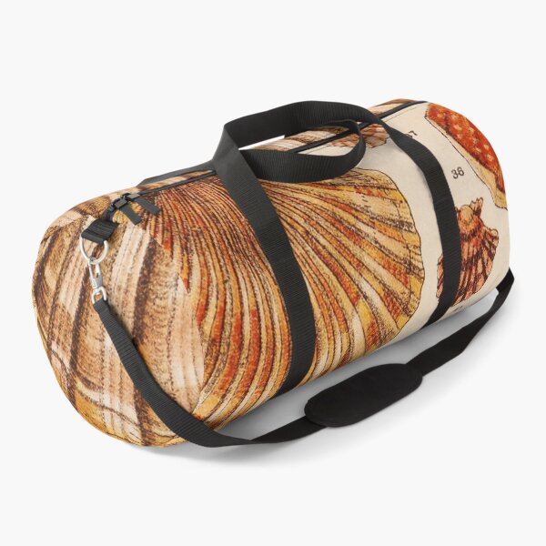 Item preview, Vintage Shell Print | Gallery Wall Art | Bathroom Wall Print | Beach House Decor | Coastal Print designed and sold by archerfield.