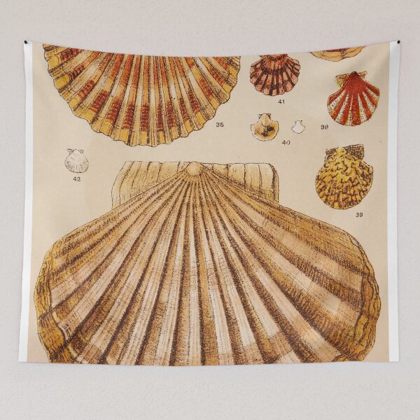 Item preview, Vintage Shell Print | Gallery Wall Art | Bathroom Wall Print | Beach House Decor | Coastal Print designed and sold by archerfield.