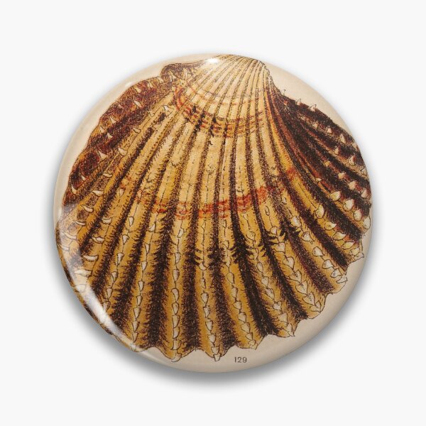 Item preview, Vintage Shell Print | Coastal Art | Bathroom Wall Print | Beach House Decor designed and sold by archerfield.