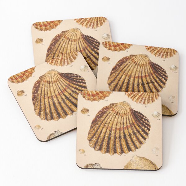 Item preview, Vintage Shell Print | Coastal Art | Bathroom Wall Print | Beach House Decor designed and sold by archerfield.