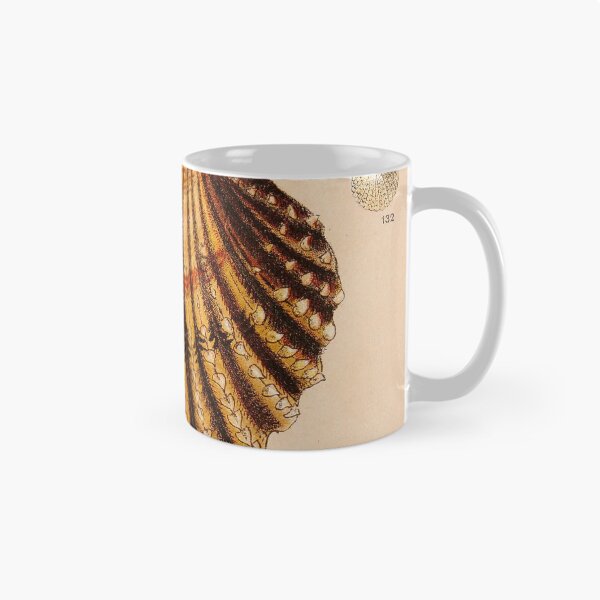 Item preview, Vintage Shell Print | Coastal Art | Bathroom Wall Print | Beach House Decor designed and sold by archerfield.