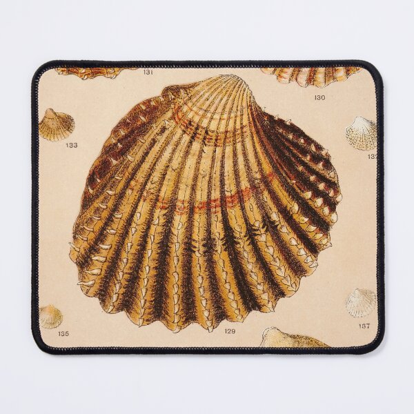 Item preview, Vintage Shell Print | Coastal Art | Bathroom Wall Print | Beach House Decor designed and sold by archerfield.