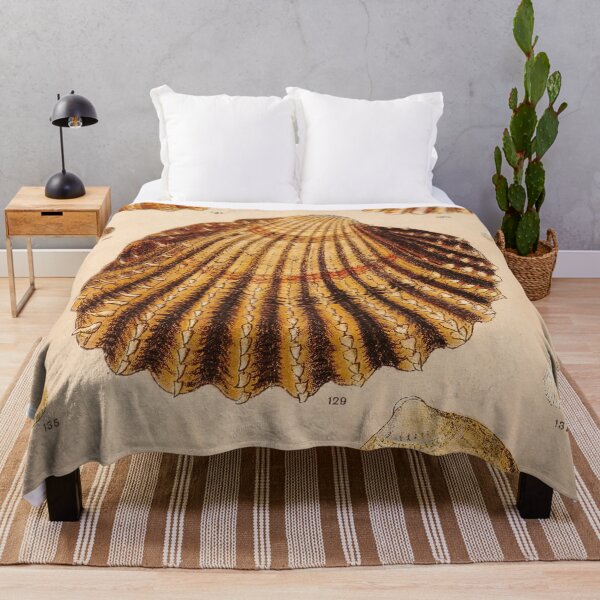 Item preview, Vintage Shell Print | Coastal Art | Bathroom Wall Print | Beach House Decor designed and sold by archerfield.