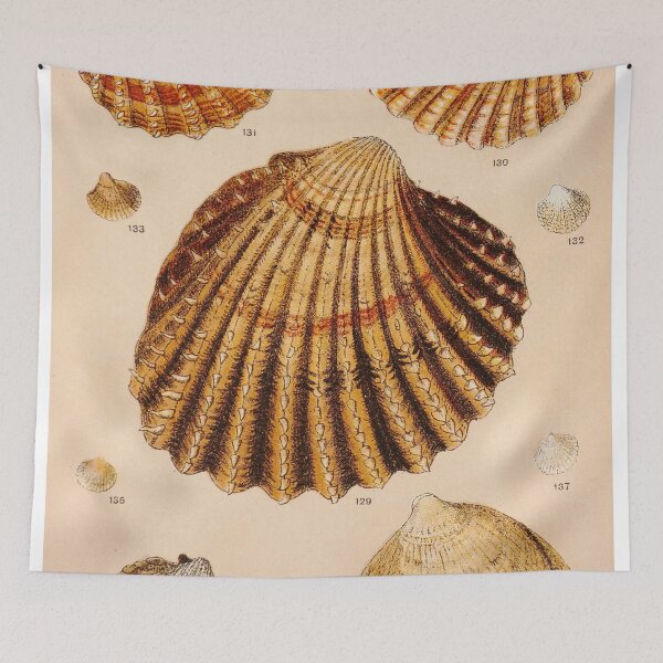 Item preview, Vintage Shell Print | Coastal Art | Bathroom Wall Print | Beach House Decor designed and sold by archerfield.