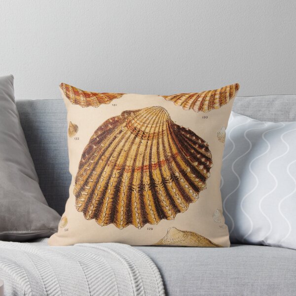 Item preview, Vintage Shell Print | Coastal Art | Bathroom Wall Print | Beach House Decor designed and sold by archerfield.