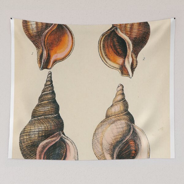 Item preview, Shell Illustration Wall Print | Vintage Shell Print | Oyster Shell Art Print | Beach House Decor designed and sold by archerfield.