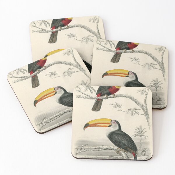 Item preview, Vintage Toucan Nursery Print | Wall Art For Childrens Bedrooms and Playrooms | Vintage Childs Bedroom Art | Home Decor designed and sold by archerfield.
