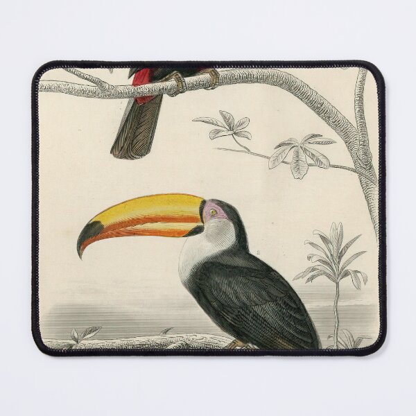 Item preview, Vintage Toucan Nursery Print | Wall Art For Childrens Bedrooms and Playrooms | Vintage Childs Bedroom Art | Home Decor designed and sold by archerfield.