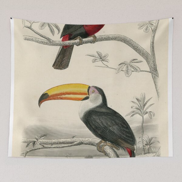Item preview, Vintage Toucan Nursery Print | Wall Art For Childrens Bedrooms and Playrooms | Vintage Childs Bedroom Art | Home Decor designed and sold by archerfield.