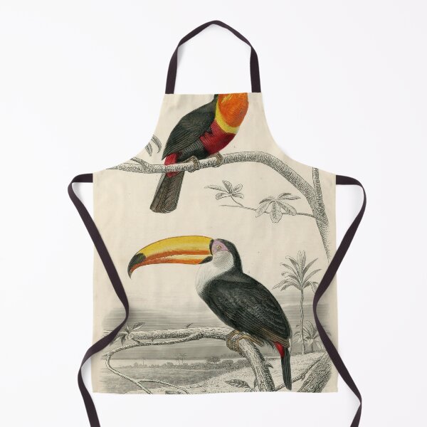 Item preview, Vintage Toucan Nursery Print | Wall Art For Childrens Bedrooms and Playrooms | Vintage Childs Bedroom Art | Home Decor designed and sold by archerfield.