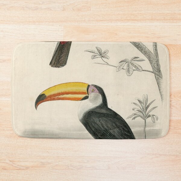 Item preview, Vintage Toucan Nursery Print | Wall Art For Childrens Bedrooms and Playrooms | Vintage Childs Bedroom Art | Home Decor designed and sold by archerfield.
