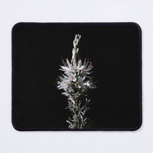 Item preview, The lily in the light - Ménigoute - Excursion designed and sold by minneyael.