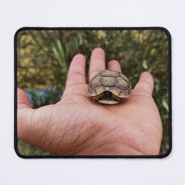 Item preview, Turtle on the hand designed and sold by Ou Hammani.