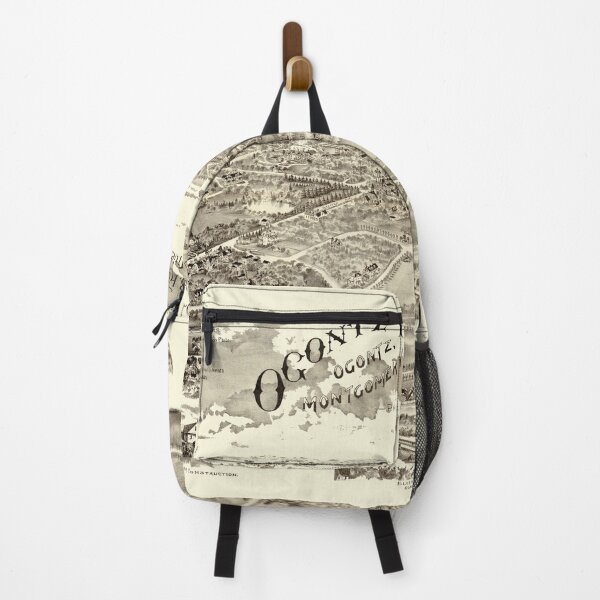 Item preview, Ogontz Park (Elkins Park) Pennsylvania (c1880) designed and sold by allhistory.