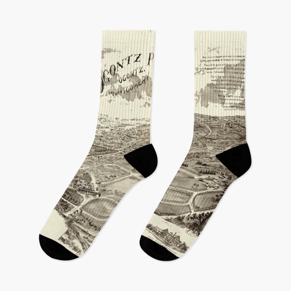 Item preview, Ogontz Park (Elkins Park) Pennsylvania (c1880) designed and sold by allhistory.
