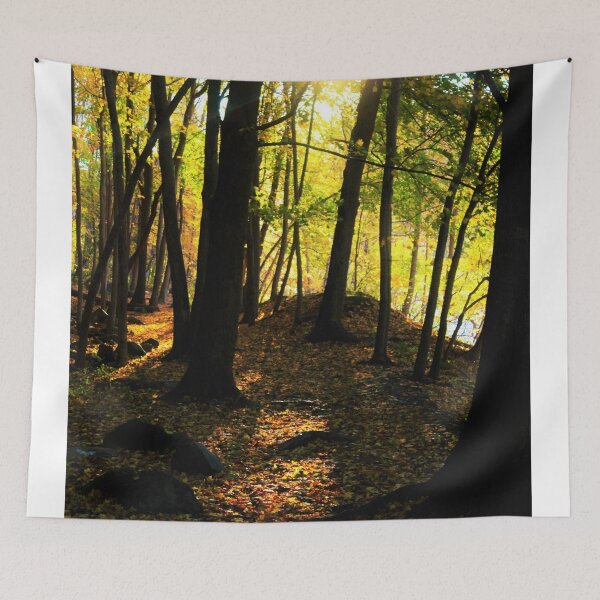 Item preview, Autumn Path designed and sold by Lydia Planalp.