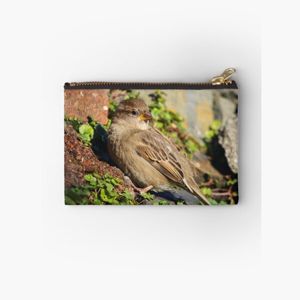 Item preview, Female Sparrow designed and sold by GreyFeatherPhot.