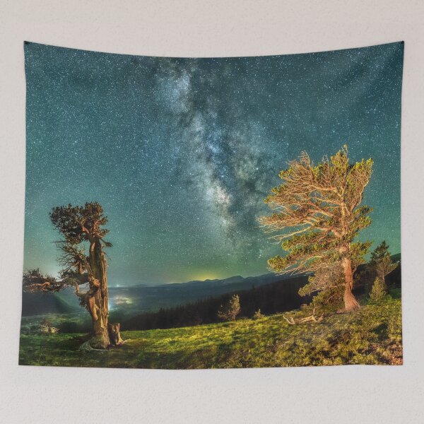 Item preview, A Bristlecone Tree Against a Starry Sky.  designed and sold by Rocky Mountain Artistry.