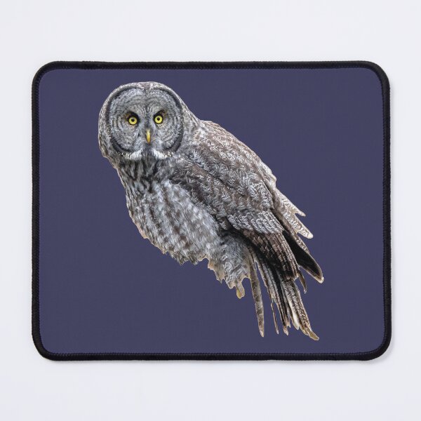 Item preview, Great Gray Owl designed and sold by oddmollusk.