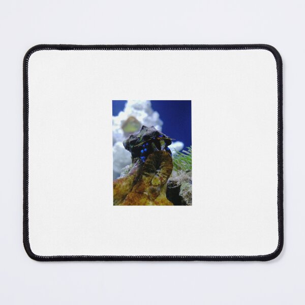 Item preview, electric blue hermit crab designed and sold by 0allthing.