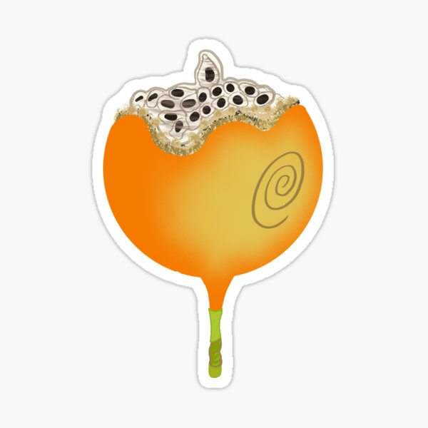 Granadilla Sticker
