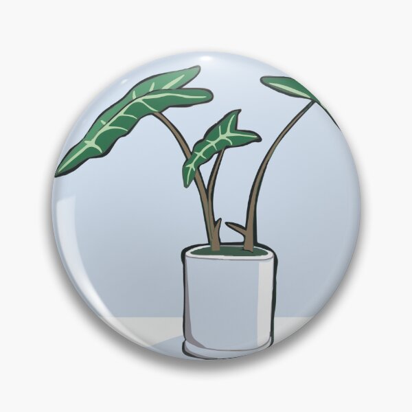 Item preview, Alocasia houseplant in sun designed and sold by AbbieNilan.