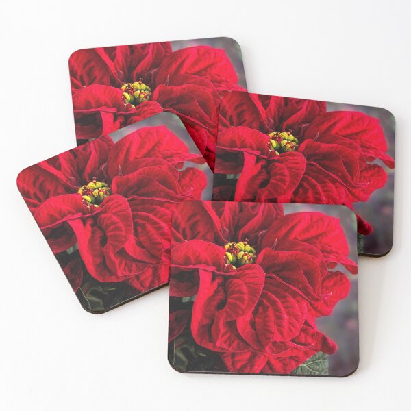 Item preview, Poinsettia, Winter Rose designed and sold by Art in Nature.