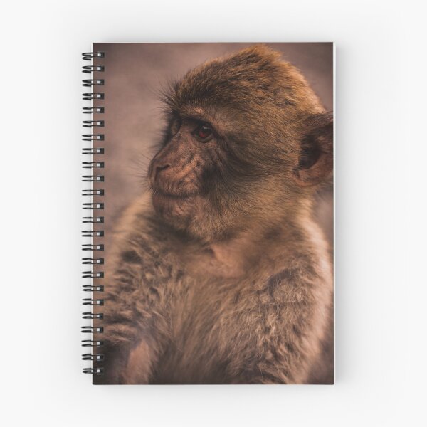 Item preview, Barbary macaque designed and sold by Sara Pålsson.