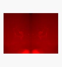 Bat Out Of Hell Photographic Print