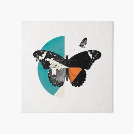 Butterfly Collage Wall Art for Sale