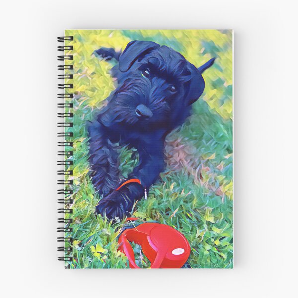 Item preview,  Affenpinscher Dog Summer Park Print designed and sold by TheWildFlix.