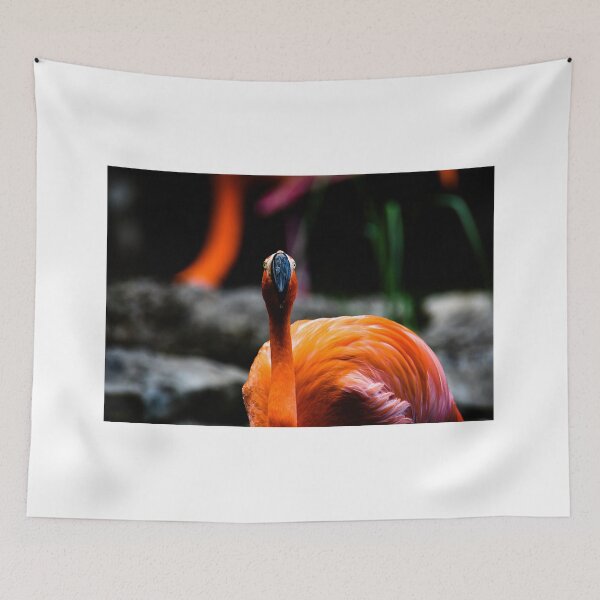 Item preview, THE STARE designed and sold by KennyBImages899.