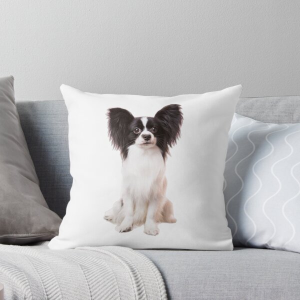 Aperçu de l'œuvre chien papillon créée et vendue par AyOuBNSB.
