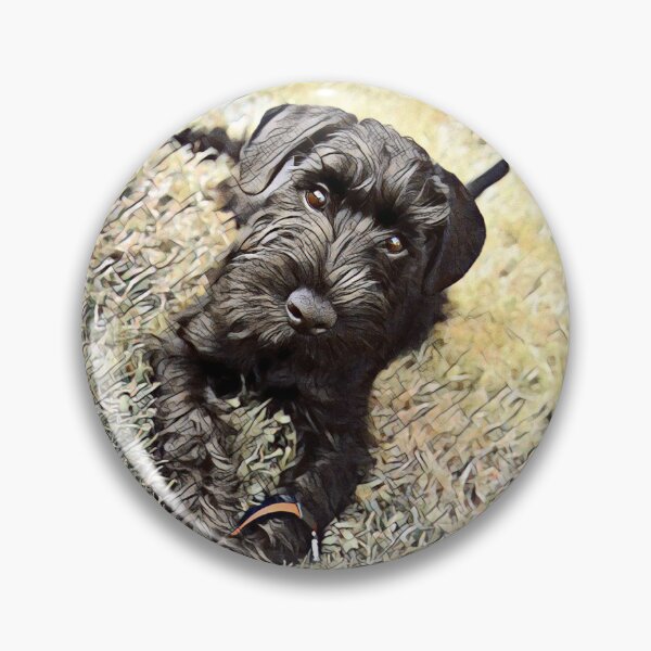 Item preview,  Affenpinscher Dog Sunrise Park Print designed and sold by TheWildFlix.